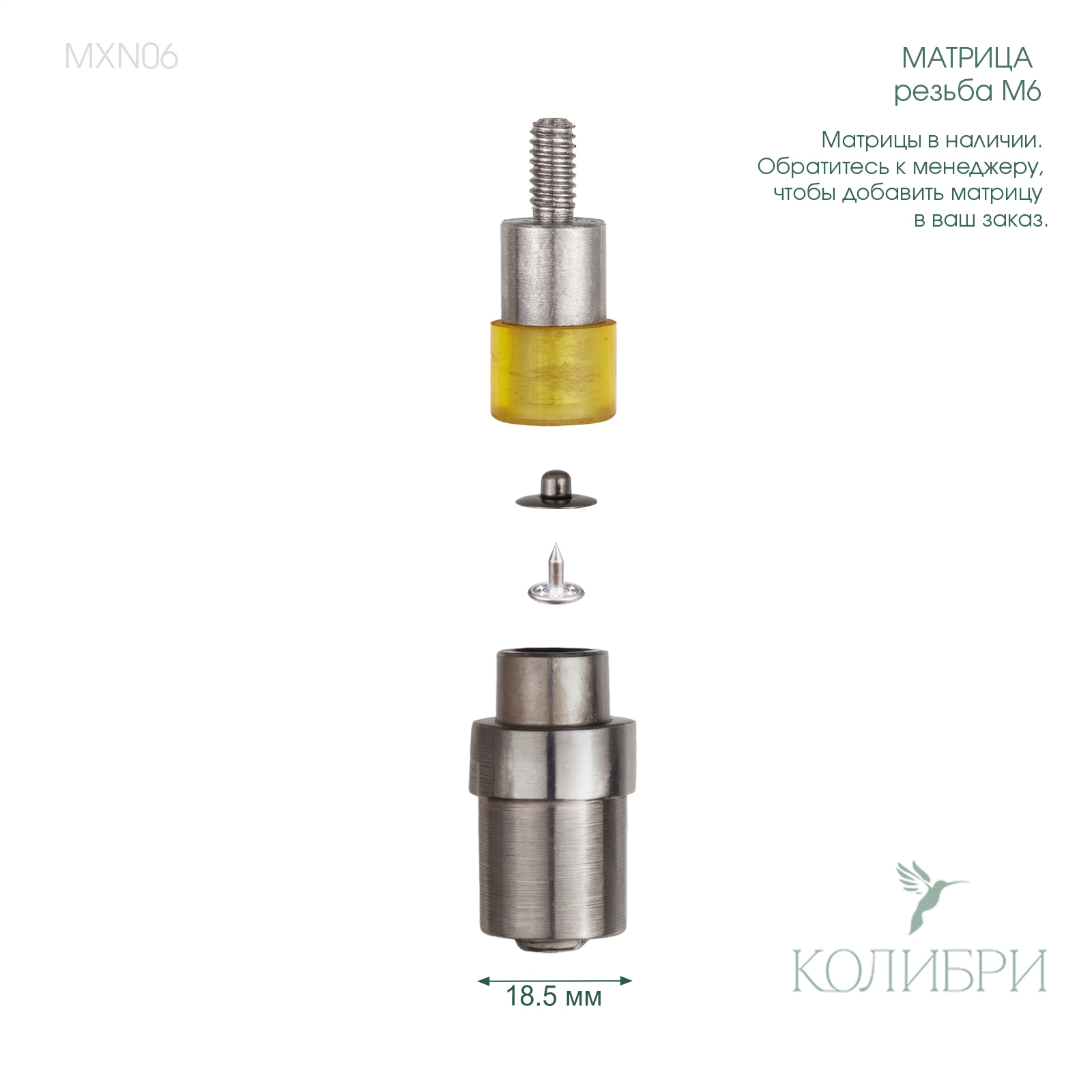 MXN06_1 info