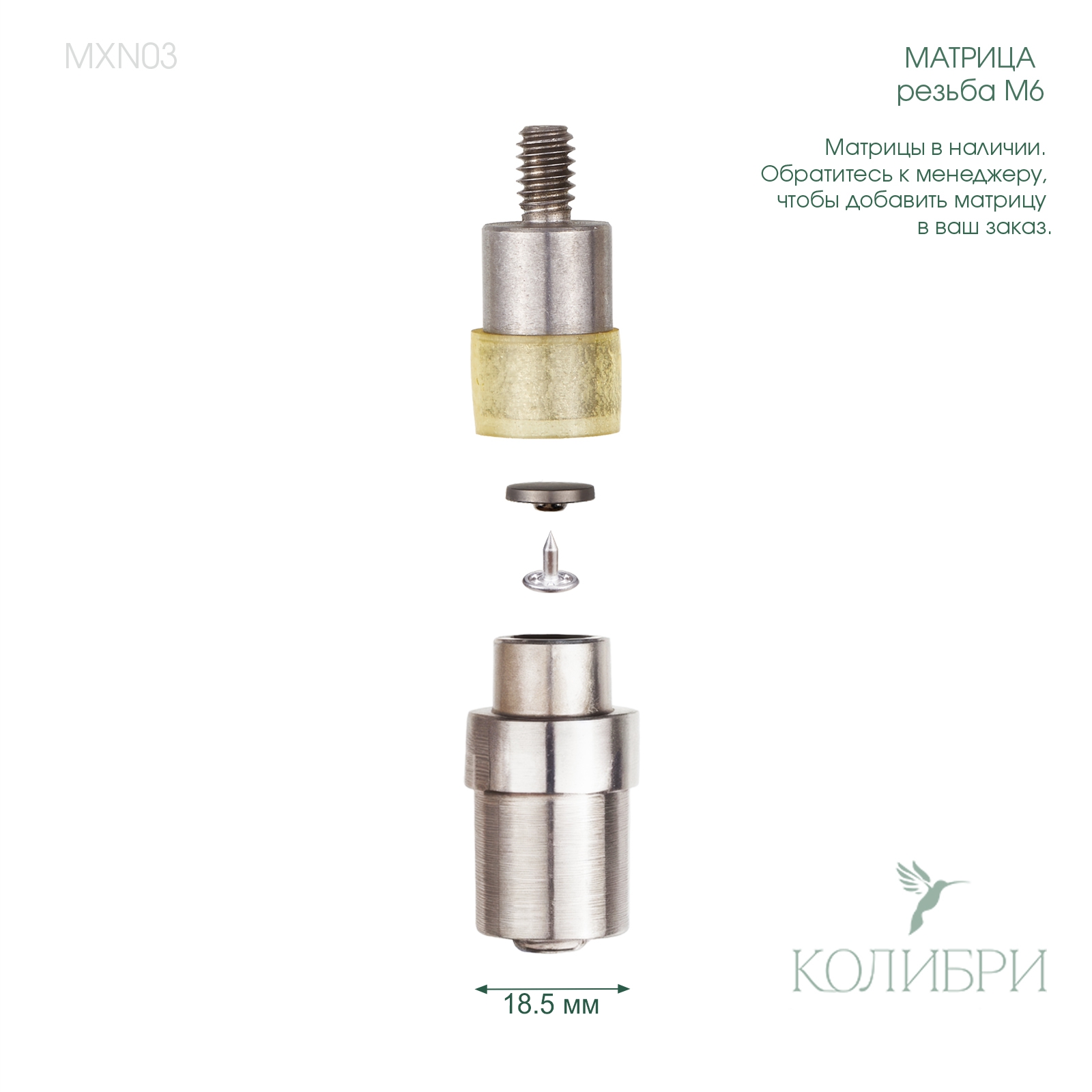 MXN03_1 info