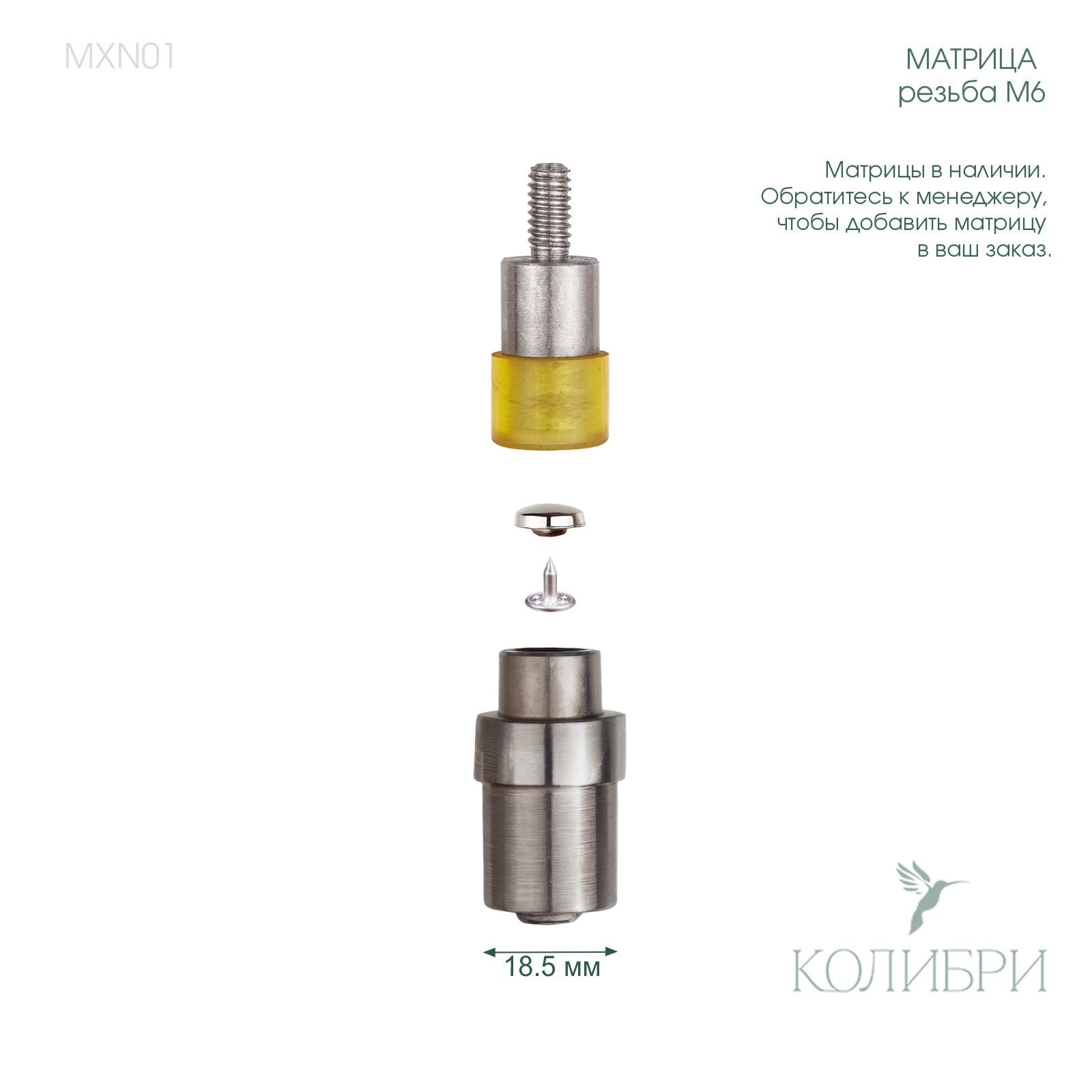 MXN01_1 info