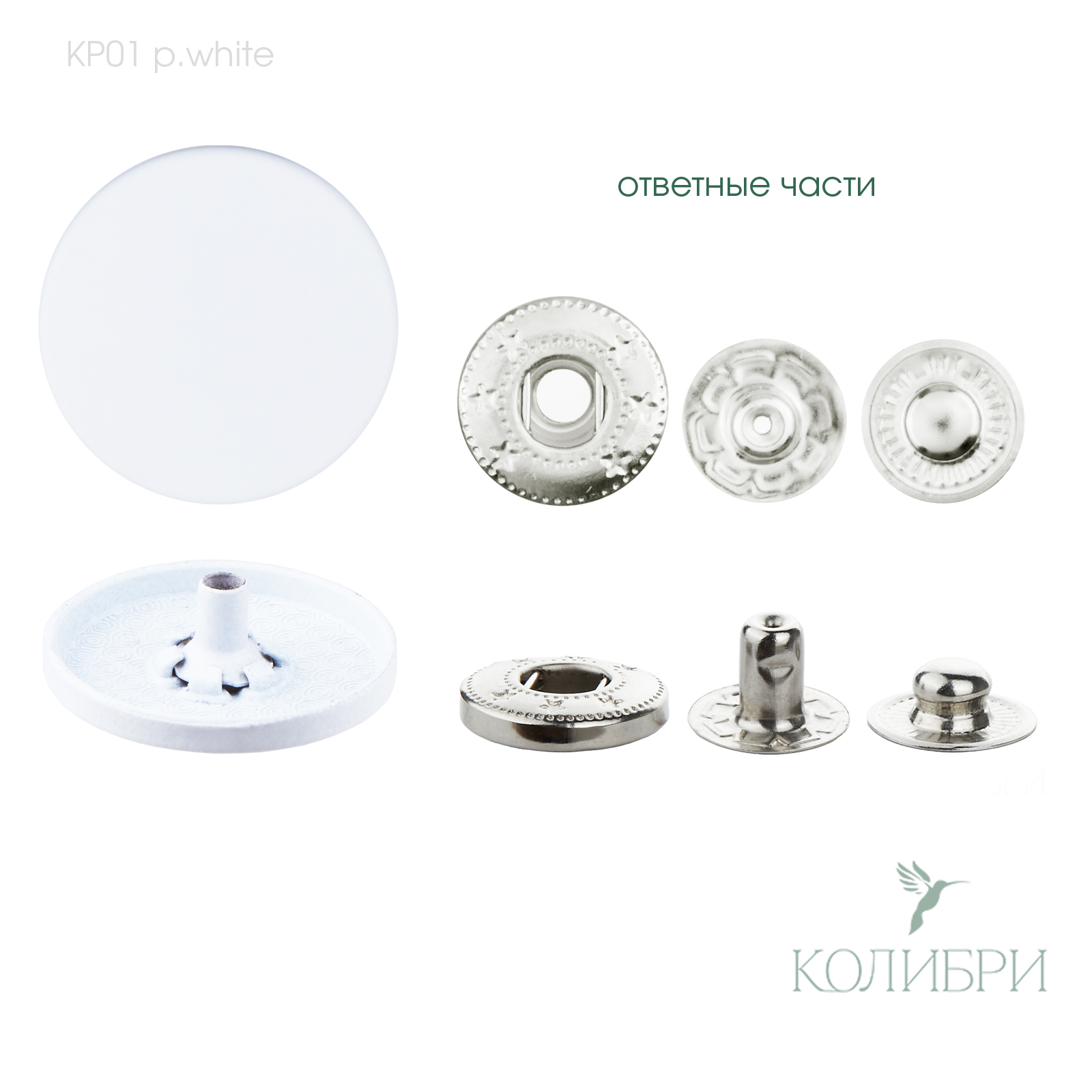 kp01 p.white