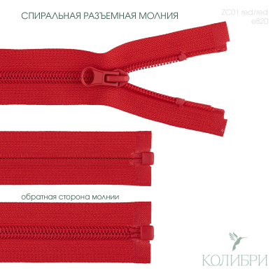 zc01 red e820