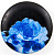 BlueRose (синяя роза) 34L