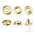 ot03 gold