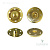 kn01 gold