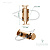 MFR11 gold  info