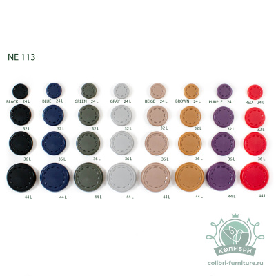 NE113
