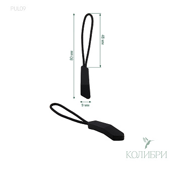 PUL09