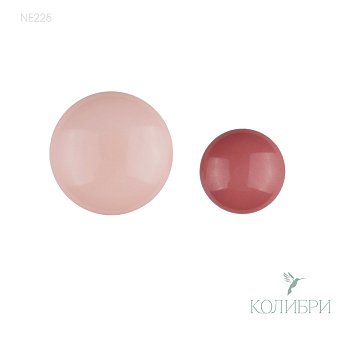 NE225_1