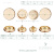 kp11gold_1