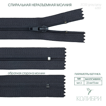 zc02 gray e301