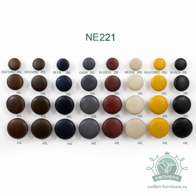 NE221