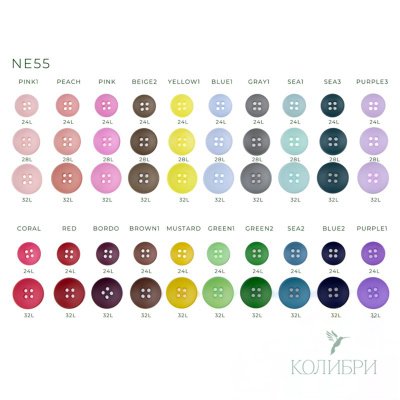 Ne55_2