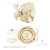 MP59 gold_1 MP59 gold_1