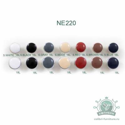 NE220