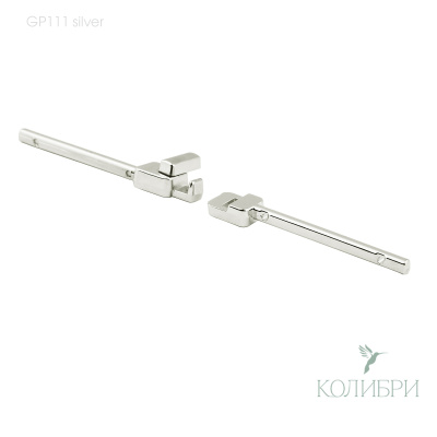gp111 silver_1