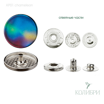 kp01 Chameleon