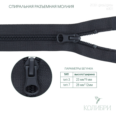 zc01 gray e301_1